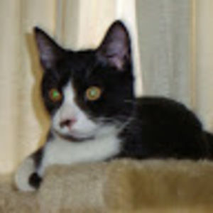 Meet your Posher, Karen